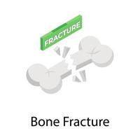 conceptos de fracturas óseas vector