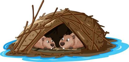 Beavers living in a dam in cartoon style vector