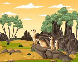 Desert background with a group of meerkats vector