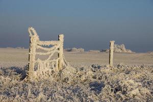 Winter Frost Saskatchewan photo