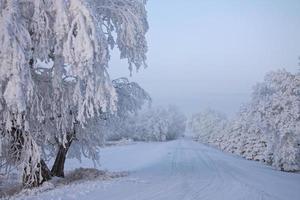 heladas de invierno saskatchewan foto