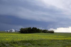 pradera nubes de tormenta foto