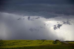 pradera nubes de tormenta foto