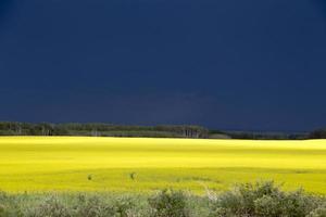 Prairie Storm Clouds photo