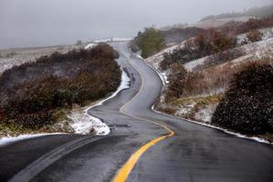 colinas de cipreses de carretera foto