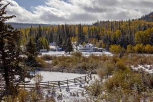 primera nevada de cypress hills foto