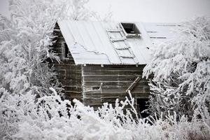 heladas de invierno saskatchewan foto