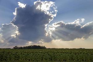 Prairie Storm Clouds photo