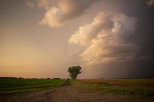 pradera nubes de tormenta puesta de sol foto