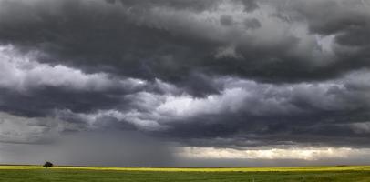 pradera nubes de tormenta canadá foto