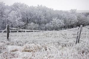 heladas de invierno saskatchewan foto