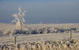 Winter Frost Saskatchewan