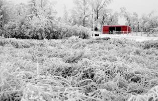 heladas de invierno saskatchewan foto