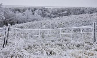 heladas de invierno saskatchewan foto