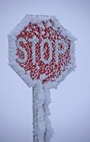 Winter Frost Saskatchewan photo