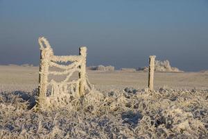 Winter Frost Saskatchewan photo