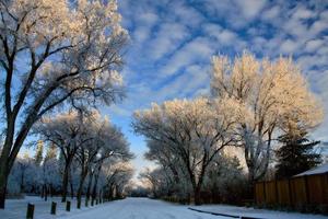 heladas de invierno saskatchewan foto