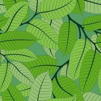 MINT SEAMLESS BACKGROUND WITH LIGHT GREEN NUTMEG BRANCHES vector