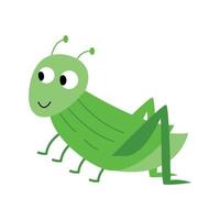 Grasshopper, a creative vector illustration of an insect