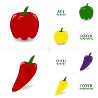 bell pepper and colorful chilli. Group vector into sets on white background. It is a rarely spicy vegetable and food ingredient. It contains healthy nutrition and vitamins.