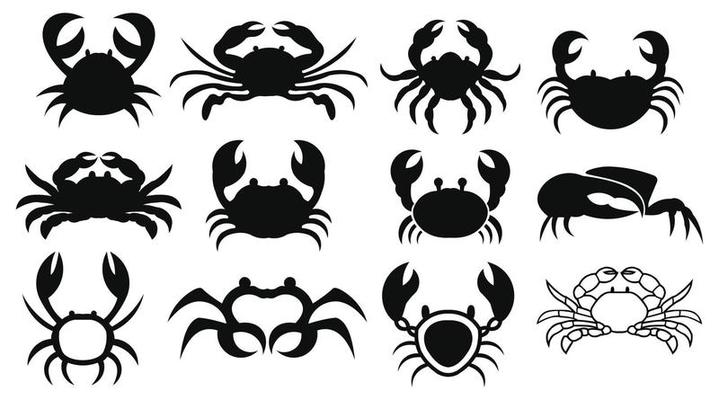 Crab Vector Art, Icons, and Graphics for Free Download