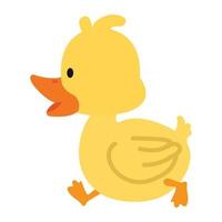 Cute little  yellow Duck walk flat vector