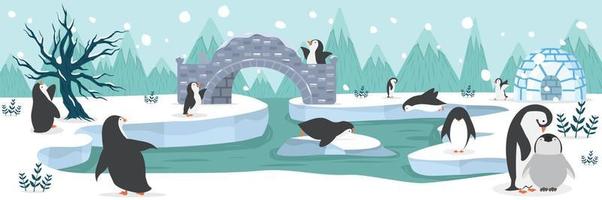 North pole Arctic penguins animal background vector