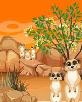 Desert background with meerkat group vector