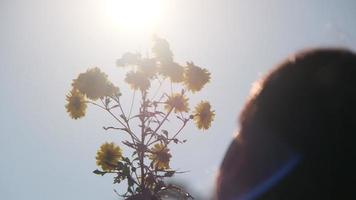 la mano de la niña feliz se extendió con un ramo de flores contra la luz del sol de la silueta del sol. video