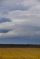 pradera nubes de tormenta canadá foto