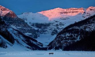 Ice Rink Lake Louise photo