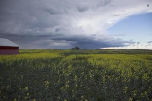 pradera nubes de tormenta foto