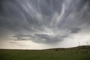 pradera nubes de tormenta foto