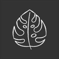 Monstera leaf chalk icon. Evergreen forest vines. Swiss cheese plant. Indonesian jungle palm leaf. Discovering Bali nature. Exploring tropical flora. Isolated vector chalkboard illustration