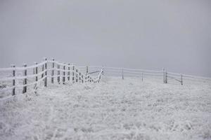 heladas de invierno saskatchewan foto