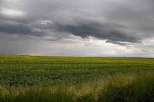 Prairie Storm Clouds Canada photo