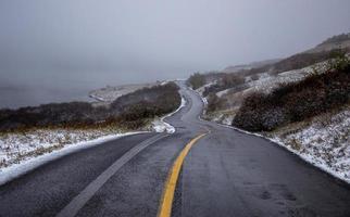 Road Cypress Hills photo