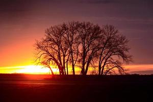 Prairie Sunset Canada photo