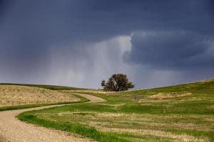 pradera nubes de tormenta foto