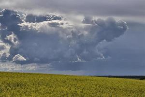 pradera nubes de tormenta canadá foto