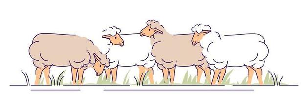 Flock of sheeps on pasture flat vector illustration. Livestock farming, animal husbandry cartoon concept with outline. Ewes grazing. Sheep wool and lamb meat production isolated design element