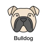 English Bulldog color icon. Utility dog breed. Isolated vector illustration