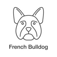 French Bulldog linear icon. Frenchie. Thin line illustration. Utility dog breed. Contour symbol. Vector isolated outline drawing