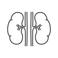 Human kidneys linear icon. Thin line illustration. Urinary system. Contour symbol. Vector isolated outline drawing