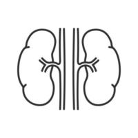 Human kidneys linear icon. Thin line illustration. Urinary system. Contour symbol. Vector isolated outline drawing