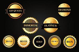 Gold Award Badge vector