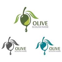 aceite de oliva logo plantilla icono diseño salud fruta vegetal vector