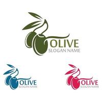 Olive Oil logo template icon design health fruit vegetable vector
