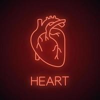 Human heart anatomy neon light icon. Glowing sign. Vector isolated illustration