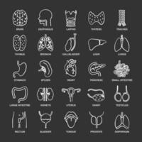 Internal organs chalk icons set. Respiratory, urinary, reproductive, digestive systems. Isolated vector chalkboard illustrations